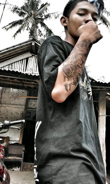 ifanfamilia1's profile picture. 