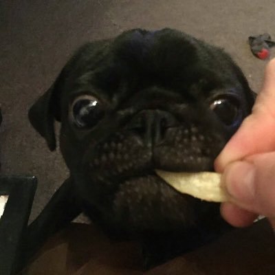 sidneyrpgtwc's profile picture. 