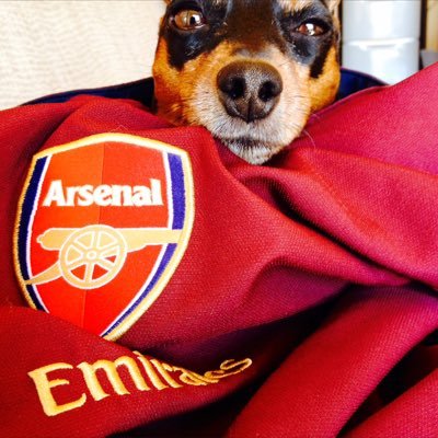 Come on Arsenal!! Hokkaido Japan/ Interior decorator /#AFC #gooner #グーナー