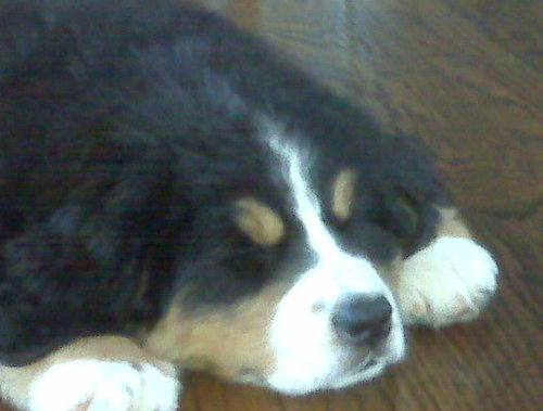 ledagc's profile picture. 