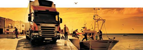 Transportation, Cross-dock, Warehousing, Re-stack, Reload, Motor Carrier Nationwide, Local Redelivery.