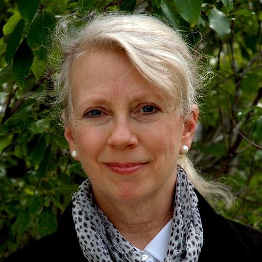 poschet6B's profile picture. 