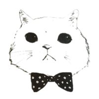 WILDCAT (@wildcat_labo) 's Twitter Profile