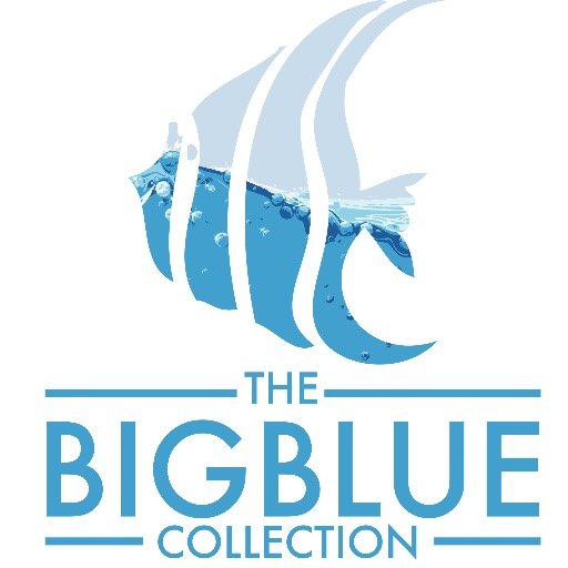 The BIGBLUE Collection is a travel and & tourism representation company providing integrated Sales/Marketing strategies for clients from Latin America and Asia