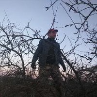 James Streltsov (@strelcov_bogdan) 's Twitter Profile