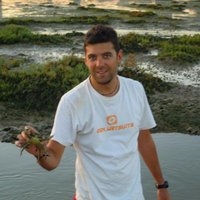 Pedro Beca-Carretero (@pedropersiobk) 's Twitter Profile