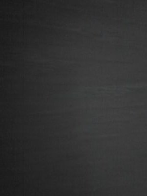 Saralaplaza1's profile picture. 