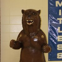 Beverly Hills Int (@bhibears) 's Twitter Profile