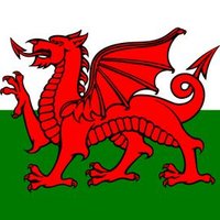 Wales is the best(@Walesisthebest_) 's Twitter Profile Photo
