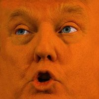 Citrus Face Overlord (@losertrump) 's Twitter Profile Photo