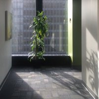 ShortPoems LongHours (@sp__lh) 's Twitter Profile