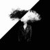 BAD BONES (@badbonesmusic) Twitter profile photo BAD BONES (@badbonesmusic) Twitter profile photo