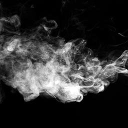 alitheav_fiji's profile picture. 