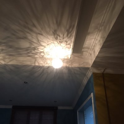 anteraan's profile picture. 