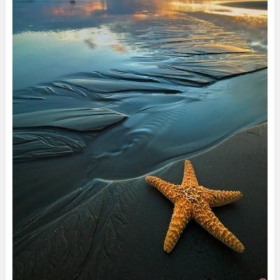 mmccoy_561's profile picture. 