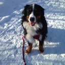 Jodi Higdon - @jodihigdonslp - Twitter