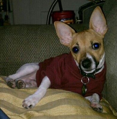 pieface731's profile picture. 