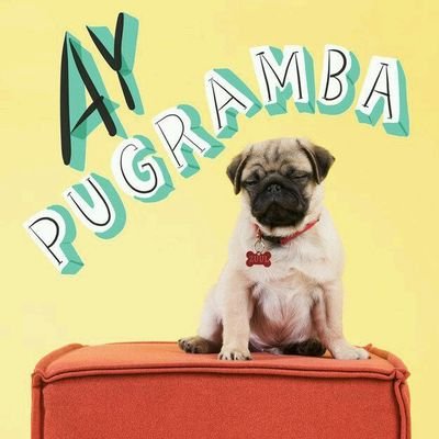 LarenceBabySis's profile picture. I heart msp it's my life:3 and MC :3 epic gamer (well I think) I ship larmau  my friends don't have Twitter (well I think) :3 o.o :0 stawp staring!!!!(lol) ;c:3