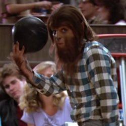 BobsterO's profile picture. Never get involved in a land war in Asia