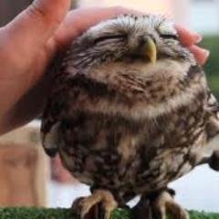 MarceloSuarber's profile picture. 