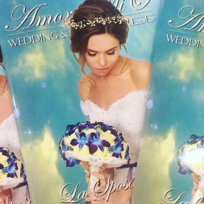 AmomioRu_Moscow's profile picture. Салон свадебных и вечерних платьев Amore MiO