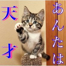 面白いつぶやき集 あしーたからほんきーだす T Co Fgk8vg0hld 面白いつぶやき集 あしーたからほんきーだす T Co Fgk8vg0hld