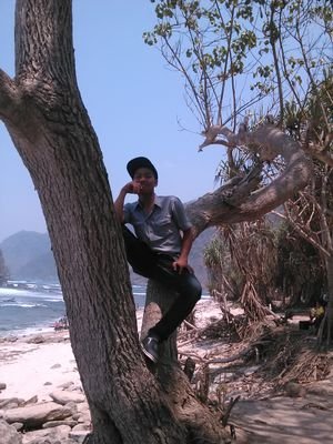 mohrifkialfari1's profile picture. 