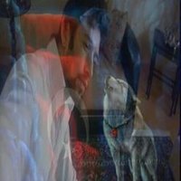 Emre Güngör (@emregngr55) 's Twitter Profile