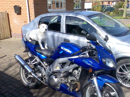 Giles_Hughes's profile picture. 