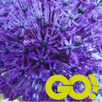 joyce miller🇬🇧 (@agapanthus49) 's Twitter Profile Photo joyce miller🇬🇧 (@agapanthus49) 's Twitter Profile Photo