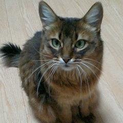 yana__masa's profile picture. 