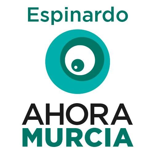 Grupo Municipal Ahora Murcia en la Junta Municipal de Espinardo (Murcia). Ayto. de Murcia. Estamos al servicio del pueblo de Espinardo.