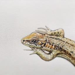 hannahgmakings's profile picture. .