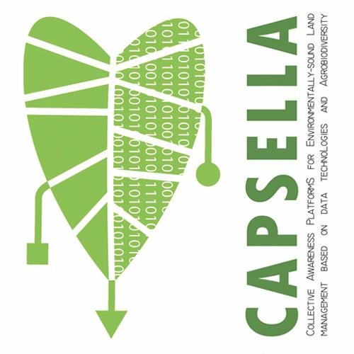 Capsella12 Profile Picture