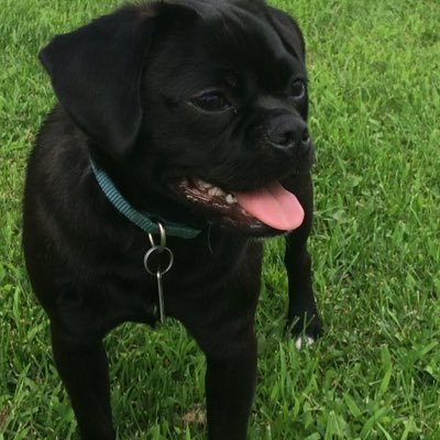 GwinnMgwinn's profile picture. 