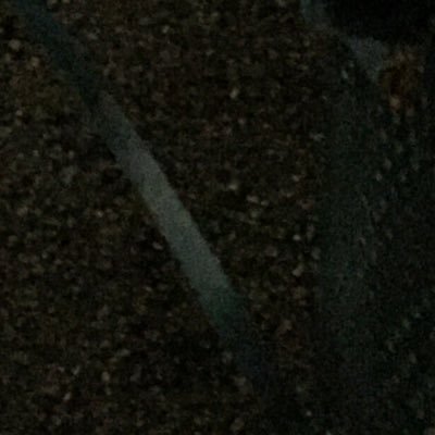 jingiskanya1's profile picture. 