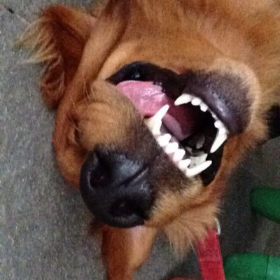 ErnestOhJS's profile picture. 