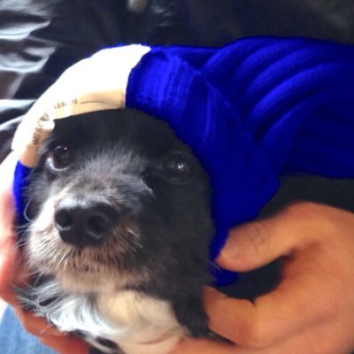 たけさんのプロフィール画像