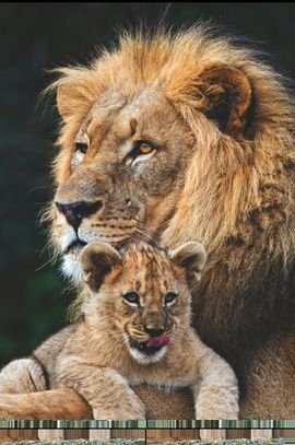 Ahmedmohqmmed12's profile picture. 