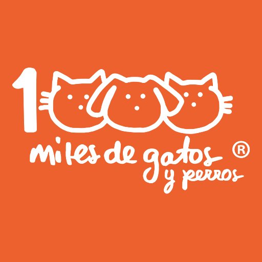 milesdegatos Profile Picture