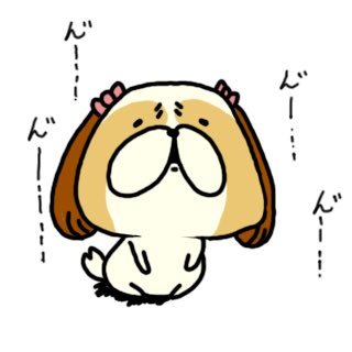 シーズーseasonさんのプロフィール画像