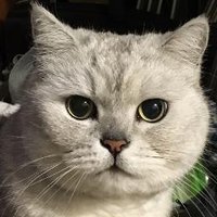 六甲山ヒロ丸 (@hiromaruchan) 's Twitter Profile