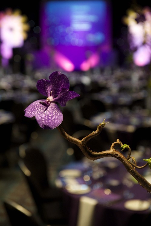 GMEC_AWARDS's profile picture. 