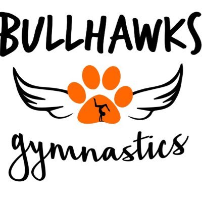 Official twitter page for the Cedarburg/Grafton Girls Gymnastics team! Work hard and dream big! #bullhawksgym