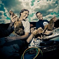 GallineroAllStars (@gallineroallsta) 's Twitter Profile