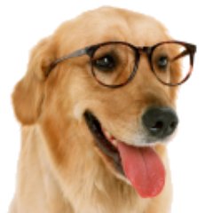 UUMJeff's profile picture. IT professional, UU, progressive, aspiring blogger. My tweets are my own opinion. Retweets not endorsements. Full profile at: 
https://t.co/MO4hMIl9tI