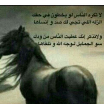 الرياض