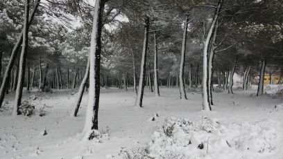 Santiherraiz's profile picture. 