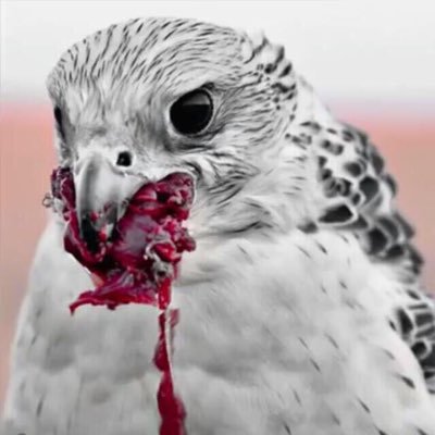 MOUATHALSAWA's profile picture. رئيس مجلس إدارة ريزيدنس وسم العقارية