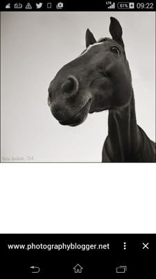 cristinacamo's profile picture. 